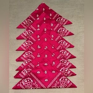 HOT PINK Paisley Bandana Set